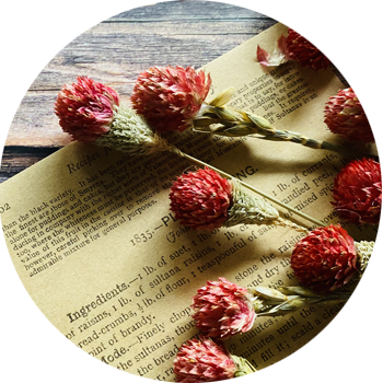 ドライフラワー